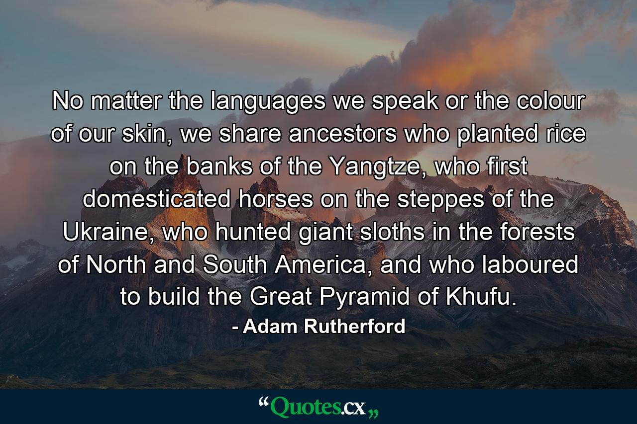 No matter the languages we speak or the colour of our skin, we share ancestors who planted rice on the banks of the Yangtze, who first domesticated horses on the steppes of the Ukraine, who hunted giant sloths in the forests of North and South America, and who laboured to build the Great Pyramid of Khufu. - Quote by Adam Rutherford