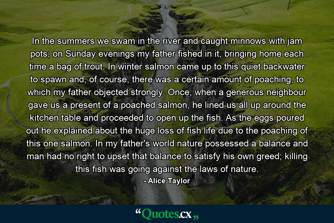 In the summers we swam in the river and caught minnows with jam pots; on Sunday evenings my father fished in it, bringing home each time a bag of trout. In winter salmon came up to this quiet backwater to spawn and, of course, there was a certain amount of poaching, to which my father objected strongly. Once, when a generous neighbour gave us a present of a poached salmon, he lined us all up around the kitchen table and proceeded to open up the fish. As the eggs poured out he explained about the huge loss of fish life due to the poaching of this one salmon. In my father's world nature possessed a balance and man had no right to upset that balance to satisfy his own greed; killing this fish was going against the laws of nature. - Quote by Alice Taylor