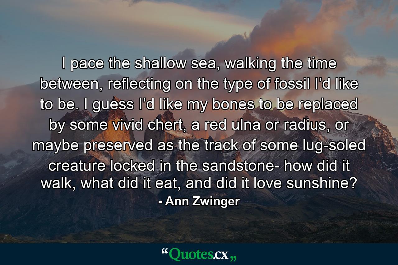 I pace the shallow sea, walking the time between, reflecting on the type of fossil I’d like to be. I guess I’d like my bones to be replaced by some vivid chert, a red ulna or radius, or maybe preserved as the track of some lug-soled creature locked in the sandstone- how did it walk, what did it eat, and did it love sunshine? - Quote by Ann Zwinger