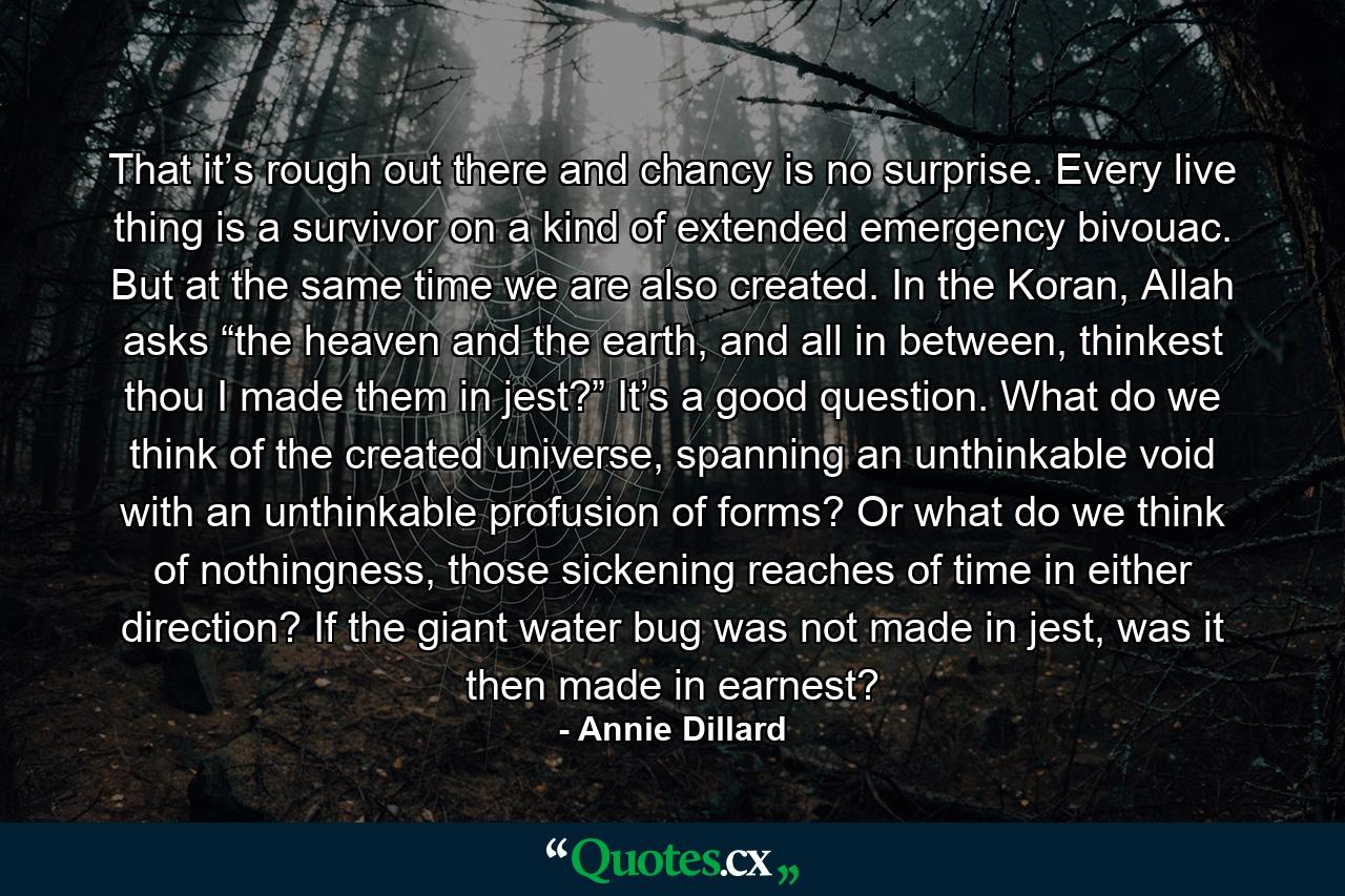 That it’s rough out there and chancy is no surprise. Every live thing is a survivor on a kind of extended emergency bivouac. But at the same time we are also created. In the Koran, Allah asks “the heaven and the earth, and all in between, thinkest thou I made them in jest?” It’s a good question. What do we think of the created universe, spanning an unthinkable void with an unthinkable profusion of forms? Or what do we think of nothingness, those sickening reaches of time in either direction? If the giant water bug was not made in jest, was it then made in earnest? - Quote by Annie Dillard