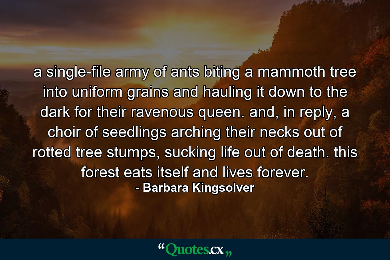 a single-file army of ants biting a mammoth tree into uniform grains and hauling it down to the dark for their ravenous queen. and, in reply, a choir of seedlings arching their necks out of rotted tree stumps, sucking life out of death. this forest eats itself and lives forever. - Quote by Barbara Kingsolver