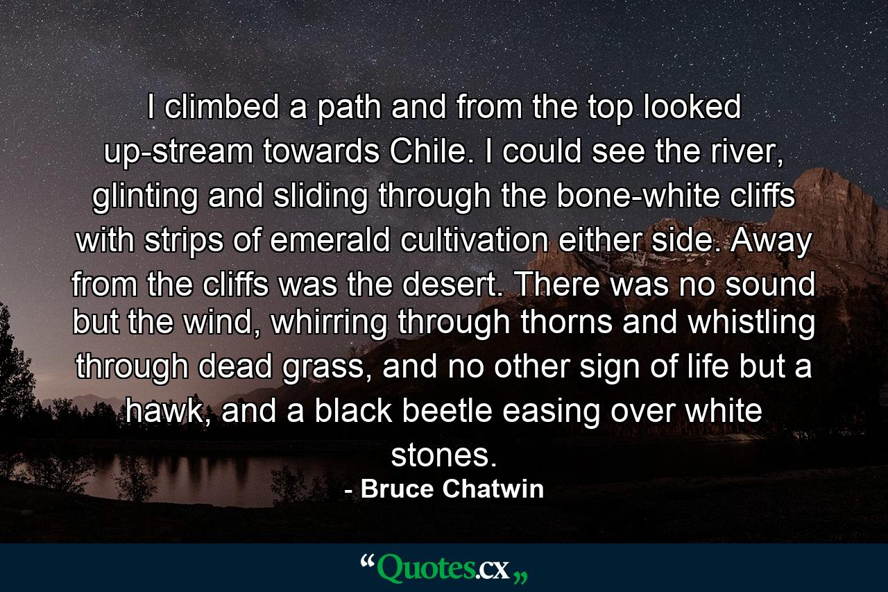 I climbed a path and from the top looked up-stream towards Chile. I could see the river, glinting and sliding through the bone-white cliffs with strips of emerald cultivation either side. Away from the cliffs was the desert. There was no sound but the wind, whirring through thorns and whistling through dead grass, and no other sign of life but a hawk, and a black beetle easing over white stones. - Quote by Bruce Chatwin