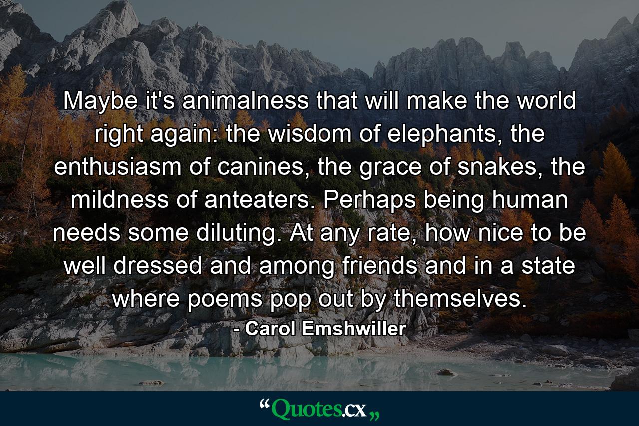 Maybe it's animalness that will make the world right again: the wisdom of elephants, the enthusiasm of canines, the grace of snakes, the mildness of anteaters. Perhaps being human needs some diluting. At any rate, how nice to be well dressed and among friends and in a state where poems pop out by themselves. - Quote by Carol Emshwiller