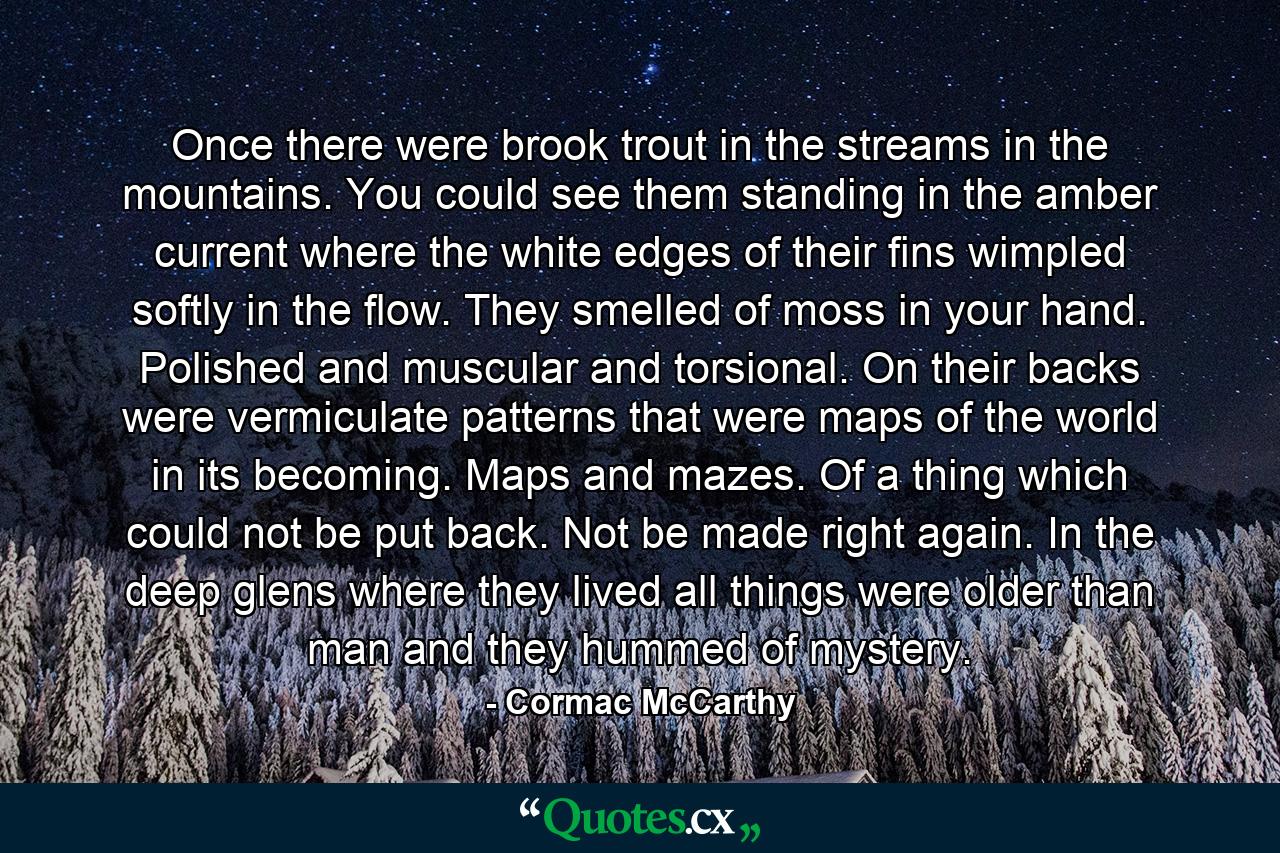 Once there were brook trout in the streams in the mountains. You could see them standing in the amber current where the white edges of their fins wimpled softly in the flow. They smelled of moss in your hand. Polished and muscular and torsional. On their backs were vermiculate patterns that were maps of the world in its becoming. Maps and mazes. Of a thing which could not be put back. Not be made right again. In the deep glens where they lived all things were older than man and they hummed of mystery. - Quote by Cormac McCarthy