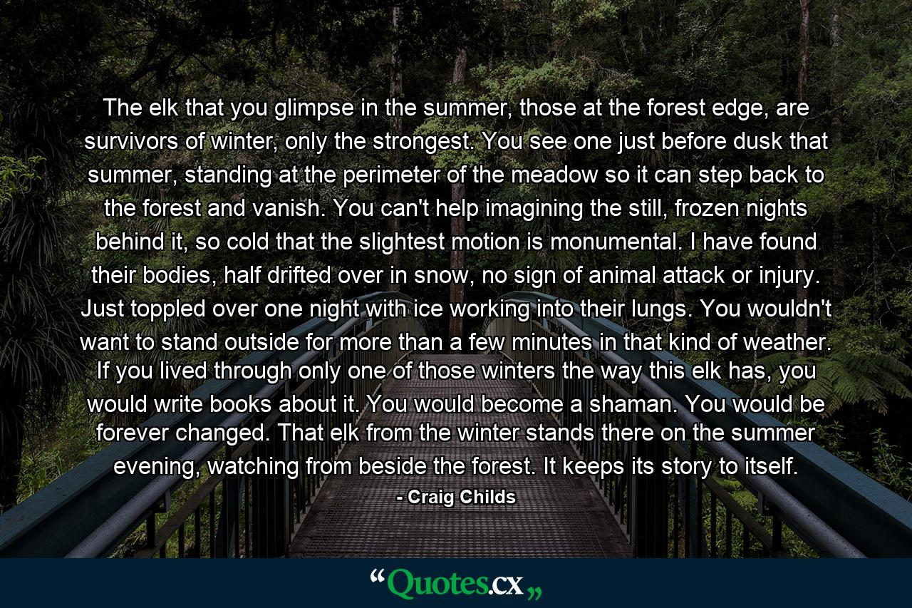 The elk that you glimpse in the summer, those at the forest edge, are survivors of winter, only the strongest. You see one just before dusk that summer, standing at the perimeter of the meadow so it can step back to the forest and vanish. You can't help imagining the still, frozen nights behind it, so cold that the slightest motion is monumental. I have found their bodies, half drifted over in snow, no sign of animal attack or injury. Just toppled over one night with ice working into their lungs. You wouldn't want to stand outside for more than a few minutes in that kind of weather. If you lived through only one of those winters the way this elk has, you would write books about it. You would become a shaman. You would be forever changed. That elk from the winter stands there on the summer evening, watching from beside the forest. It keeps its story to itself. - Quote by Craig Childs