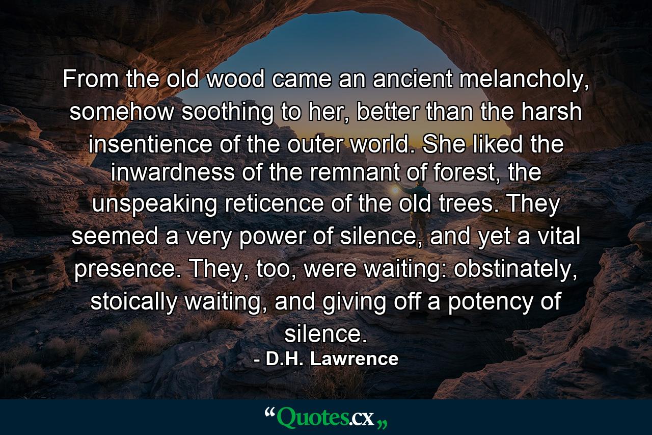 From the old wood came an ancient melancholy, somehow soothing to her, better than the harsh insentience of the outer world. She liked the inwardness of the remnant of forest, the unspeaking reticence of the old trees. They seemed a very power of silence, and yet a vital presence. They, too, were waiting: obstinately, stoically waiting, and giving off a potency of silence. - Quote by D.H. Lawrence