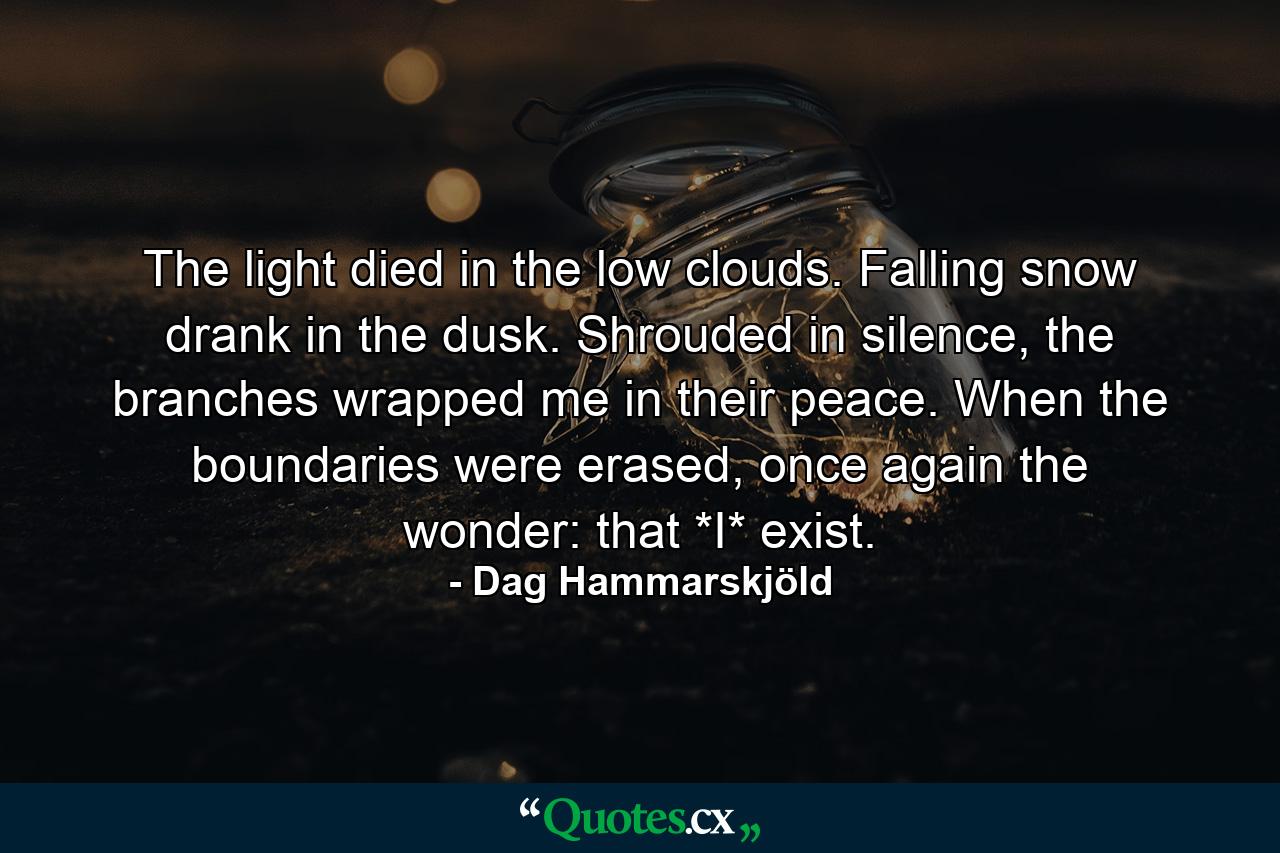 The light died in the low clouds. Falling snow drank in the dusk. Shrouded in silence, the branches wrapped me in their peace. When the boundaries were erased, once again the wonder: that *I* exist. - Quote by Dag Hammarskjöld