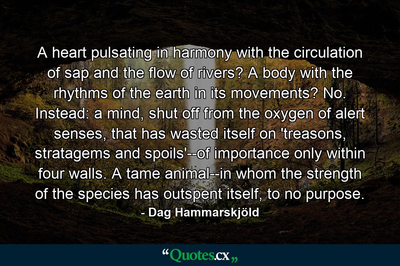 A heart pulsating in harmony with the circulation of sap and the flow of rivers? A body with the rhythms of the earth in its movements? No. Instead: a mind, shut off from the oxygen of alert senses, that has wasted itself on 'treasons, stratagems and spoils'--of importance only within four walls. A tame animal--in whom the strength of the species has outspent itself, to no purpose. - Quote by Dag Hammarskjöld