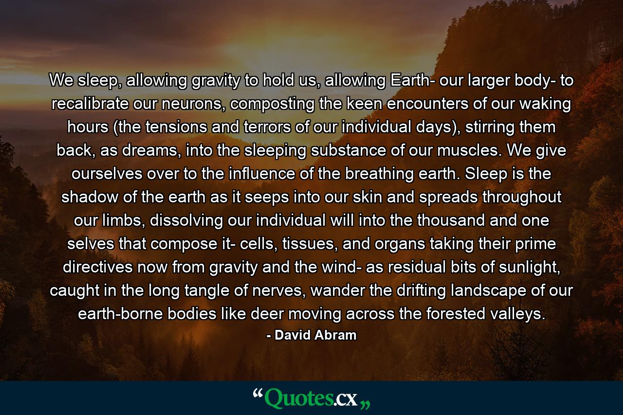 We sleep, allowing gravity to hold us, allowing Earth- our larger body- to recalibrate our neurons, composting the keen encounters of our waking hours (the tensions and terrors of our individual days), stirring them back, as dreams, into the sleeping substance of our muscles. We give ourselves over to the influence of the breathing earth. Sleep is the shadow of the earth as it seeps into our skin and spreads throughout our limbs, dissolving our individual will into the thousand and one selves that compose it- cells, tissues, and organs taking their prime directives now from gravity and the wind- as residual bits of sunlight, caught in the long tangle of nerves, wander the drifting landscape of our earth-borne bodies like deer moving across the forested valleys. - Quote by David Abram