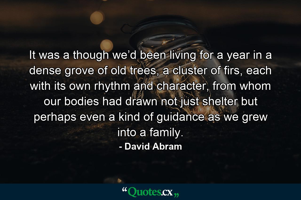 It was a though we’d been living for a year in a dense grove of old trees, a cluster of firs, each with its own rhythm and character, from whom our bodies had drawn not just shelter but perhaps even a kind of guidance as we grew into a family. - Quote by David Abram