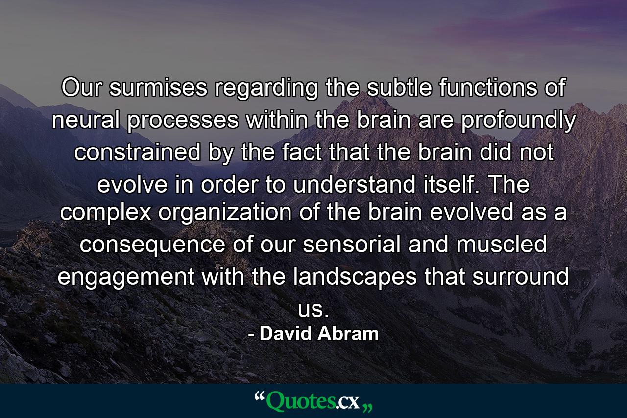 Our surmises regarding the subtle functions of neural processes within the brain are profoundly constrained by the fact that the brain did not evolve in order to understand itself. The complex organization of the brain evolved as a consequence of our sensorial and muscled engagement with the landscapes that surround us. - Quote by David Abram