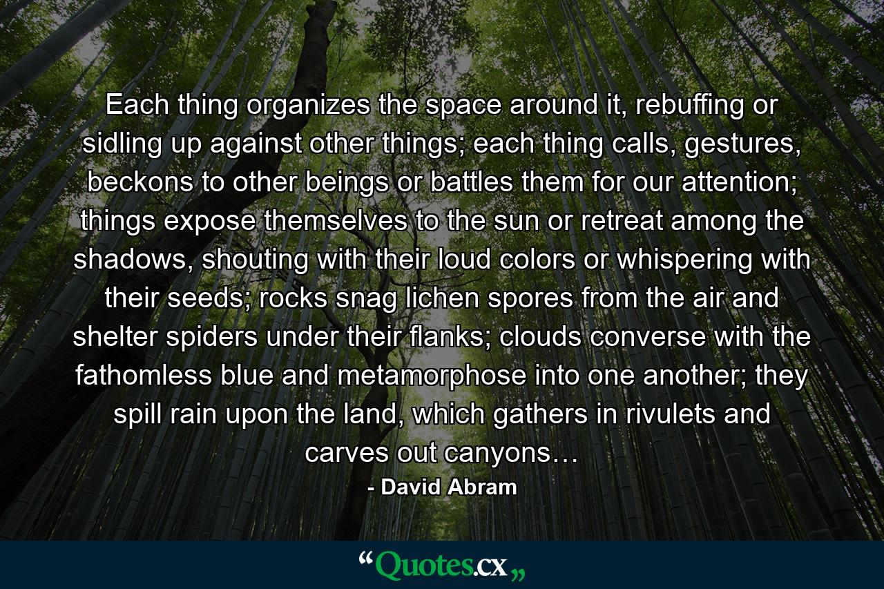 Each thing organizes the space around it, rebuffing or sidling up against other things; each thing calls, gestures, beckons to other beings or battles them for our attention; things expose themselves to the sun or retreat among the shadows, shouting with their loud colors or whispering with their seeds; rocks snag lichen spores from the air and shelter spiders under their flanks; clouds converse with the fathomless blue and metamorphose into one another; they spill rain upon the land, which gathers in rivulets and carves out canyons… - Quote by David Abram