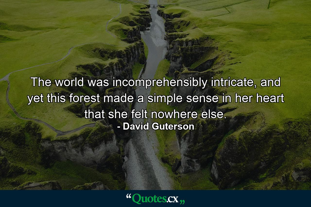 The world was incomprehensibly intricate, and yet this forest made a simple sense in her heart that she felt nowhere else. - Quote by David Guterson