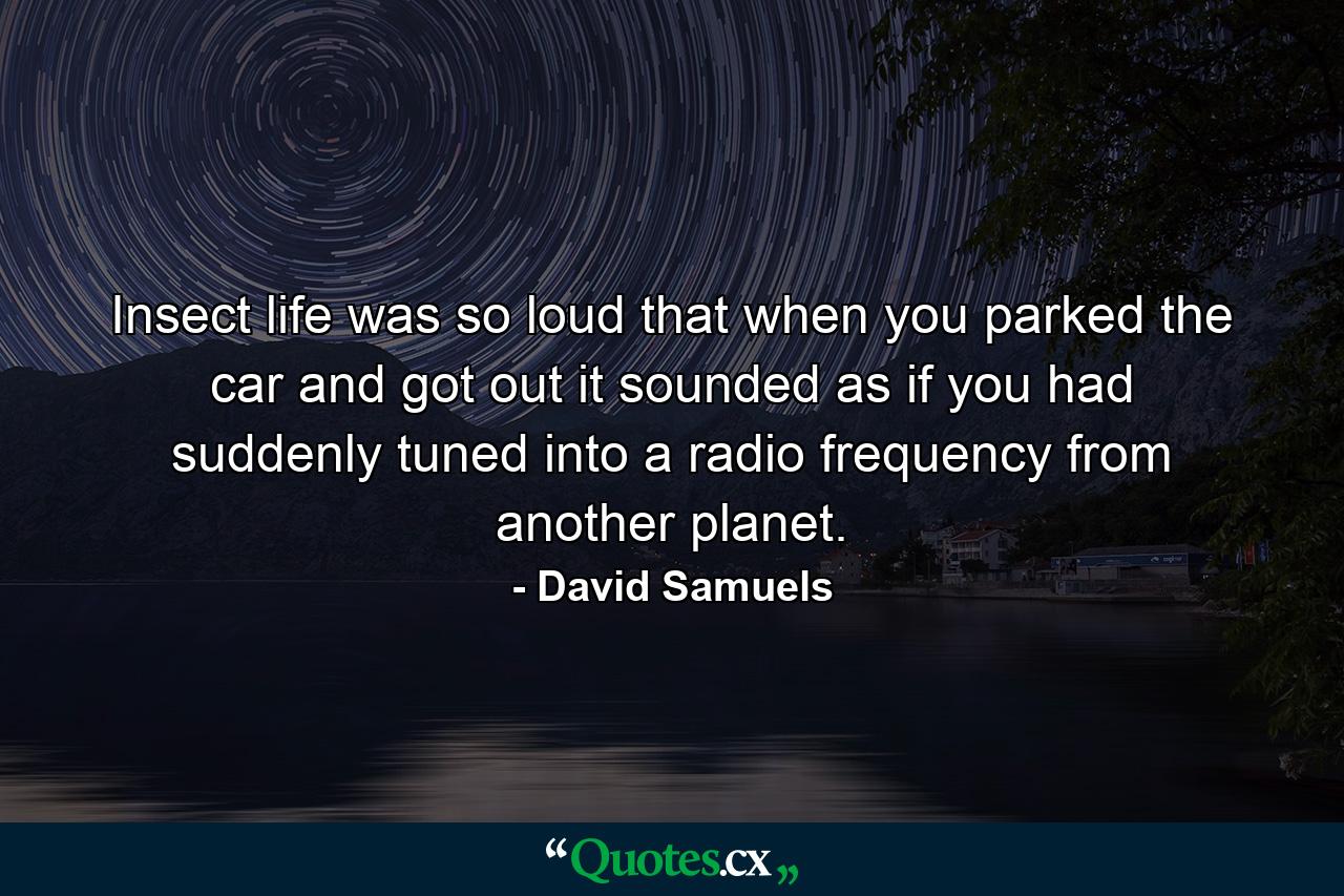 Insect life was so loud that when you parked the car and got out it sounded as if you had suddenly tuned into a radio frequency from another planet. - Quote by David Samuels