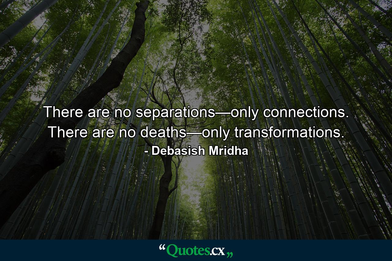 There are no separations—only connections. There are no deaths—only transformations. - Quote by Debasish Mridha