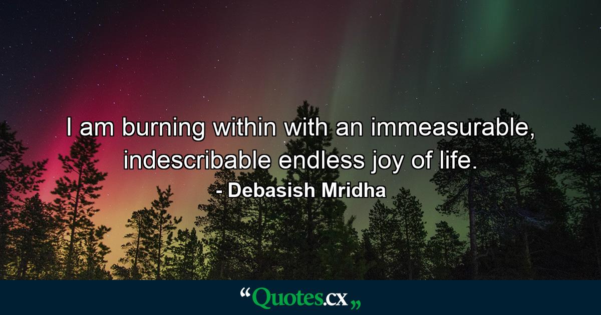 I am burning within with an immeasurable, indescribable endless joy of life. - Quote by Debasish Mridha