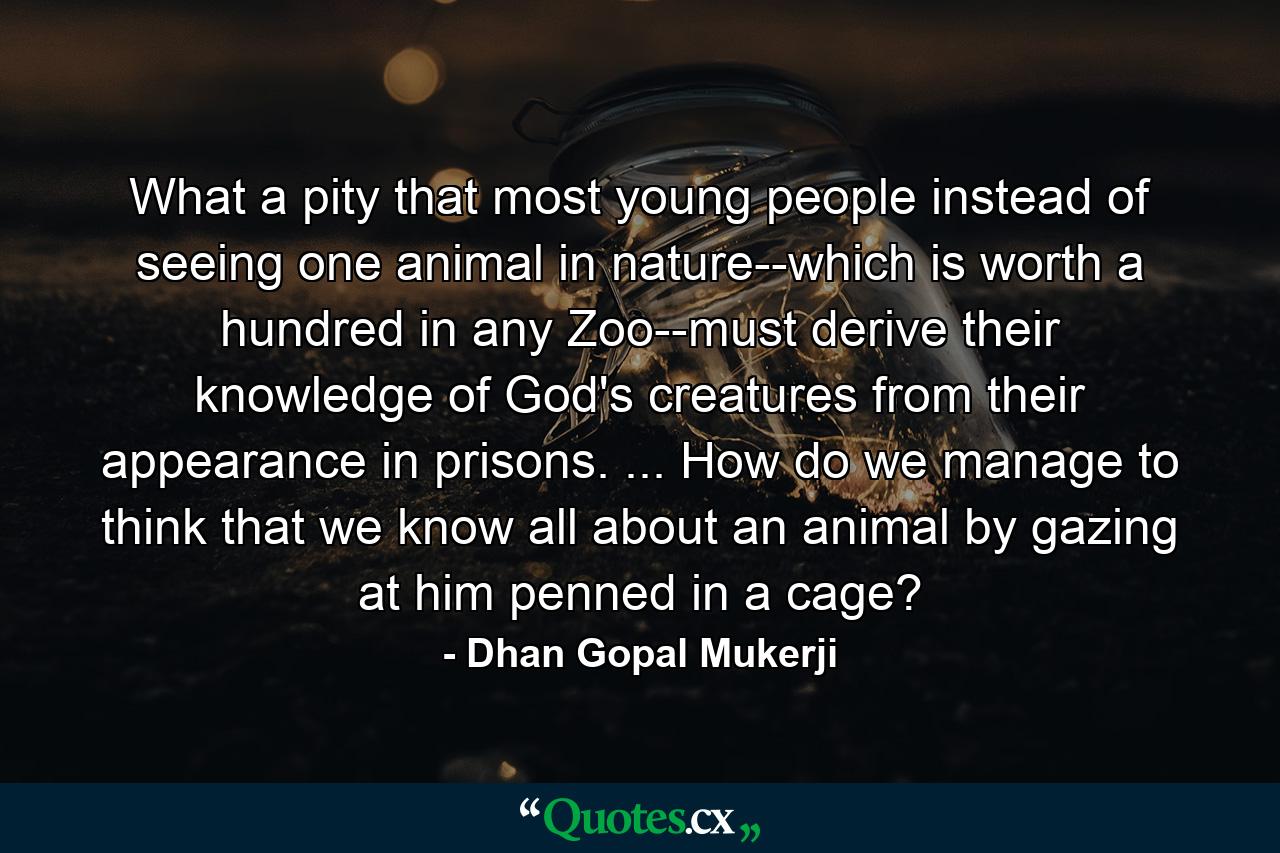 What a pity that most young people instead of seeing one animal in nature--which is worth a hundred in any Zoo--must derive their knowledge of God's creatures from their appearance in prisons. ... How do we manage to think that we know all about an animal by gazing at him penned in a cage? - Quote by Dhan Gopal Mukerji