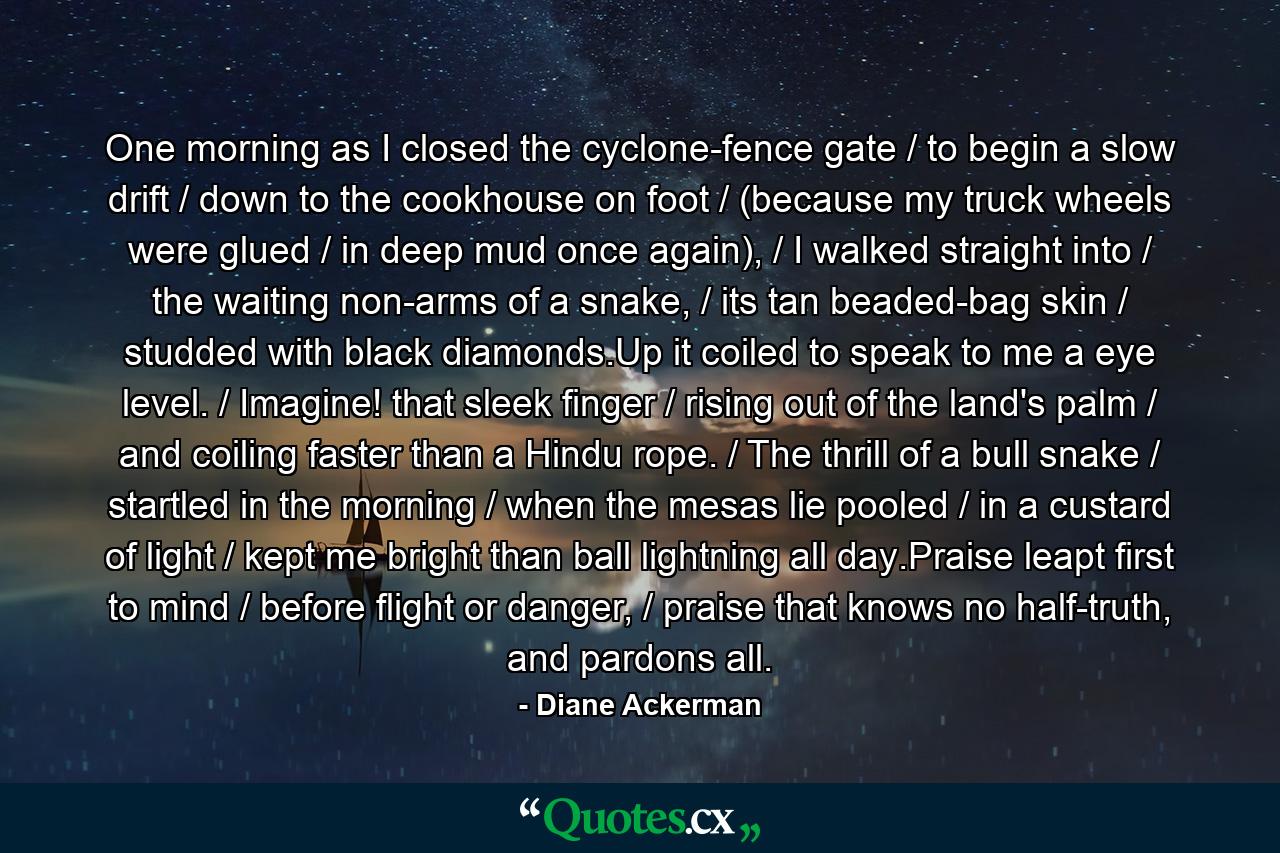 One morning as I closed the cyclone-fence gate / to begin a slow drift / down to the cookhouse on foot / (because my truck wheels were glued / in deep mud once again), / I walked straight into / the waiting non-arms of a snake, / its tan beaded-bag skin / studded with black diamonds.Up it coiled to speak to me a eye level. / Imagine! that sleek finger / rising out of the land's palm / and coiling faster than a Hindu rope. / The thrill of a bull snake / startled in the morning / when the mesas lie pooled / in a custard of light / kept me bright than ball lightning all day.Praise leapt first to mind / before flight or danger, / praise that knows no half-truth, and pardons all. - Quote by Diane Ackerman