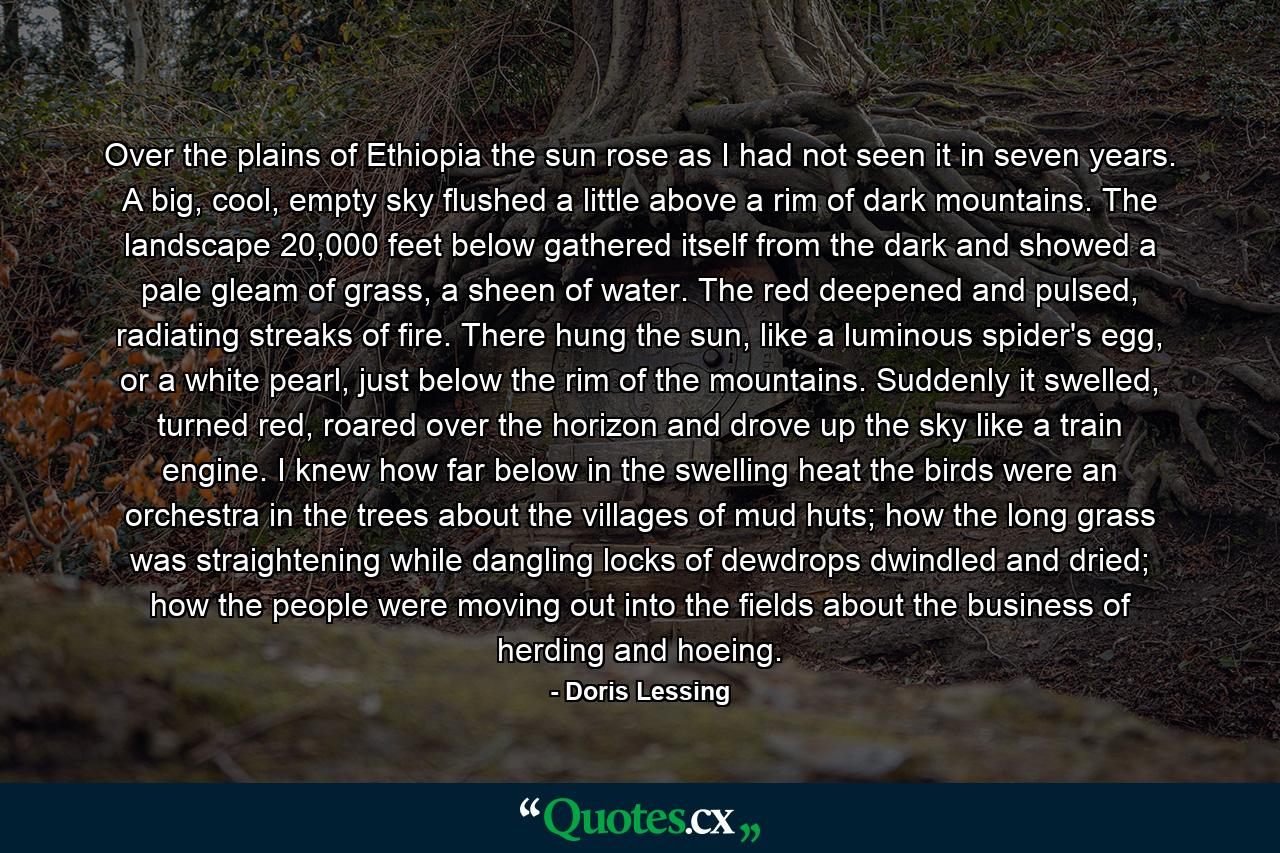 Over the plains of Ethiopia the sun rose as I had not seen it in seven years. A big, cool, empty sky flushed a little above a rim of dark mountains. The landscape 20,000 feet below gathered itself from the dark and showed a pale gleam of grass, a sheen of water. The red deepened and pulsed, radiating streaks of fire. There hung the sun, like a luminous spider's egg, or a white pearl, just below the rim of the mountains. Suddenly it swelled, turned red, roared over the horizon and drove up the sky like a train engine. I knew how far below in the swelling heat the birds were an orchestra in the trees about the villages of mud huts; how the long grass was straightening while dangling locks of dewdrops dwindled and dried; how the people were moving out into the fields about the business of herding and hoeing. - Quote by Doris Lessing