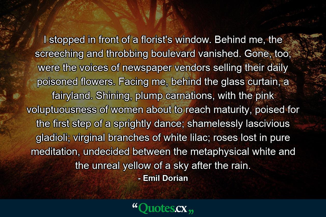 I stopped in front of a florist's window. Behind me, the screeching and throbbing boulevard vanished. Gone, too, were the voices of newspaper vendors selling their daily poisoned flowers. Facing me, behind the glass curtain, a fairyland. Shining, plump carnations, with the pink voluptuousness of women about to reach maturity, poised for the first step of a sprightly dance; shamelessly lascivious gladioli; virginal branches of white lilac; roses lost in pure meditation, undecided between the metaphysical white and the unreal yellow of a sky after the rain. - Quote by Emil Dorian