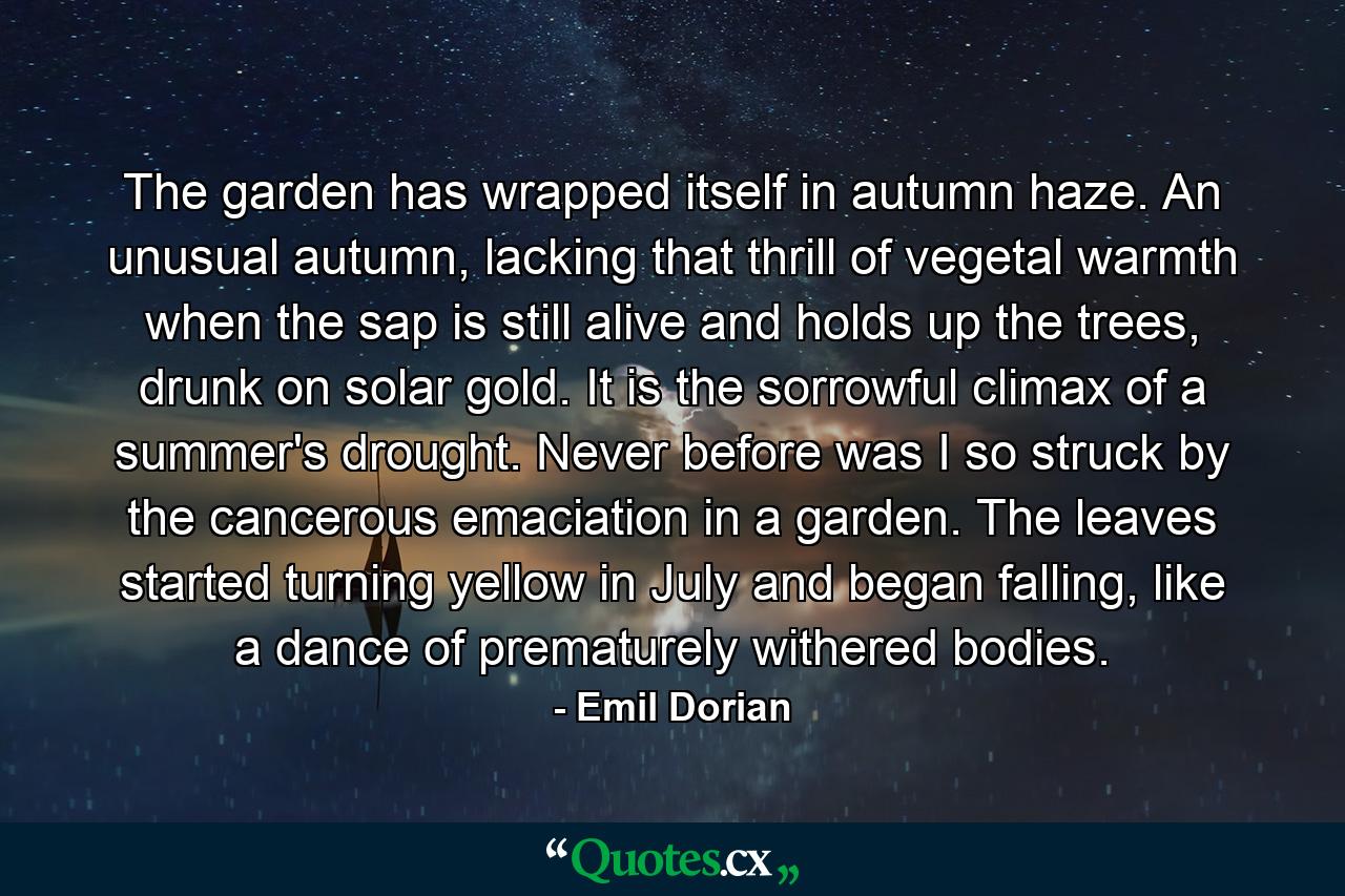 The garden has wrapped itself in autumn haze. An unusual autumn, lacking that thrill of vegetal warmth when the sap is still alive and holds up the trees, drunk on solar gold. It is the sorrowful climax of a summer's drought. Never before was I so struck by the cancerous emaciation in a garden. The leaves started turning yellow in July and began falling, like a dance of prematurely withered bodies. - Quote by Emil Dorian