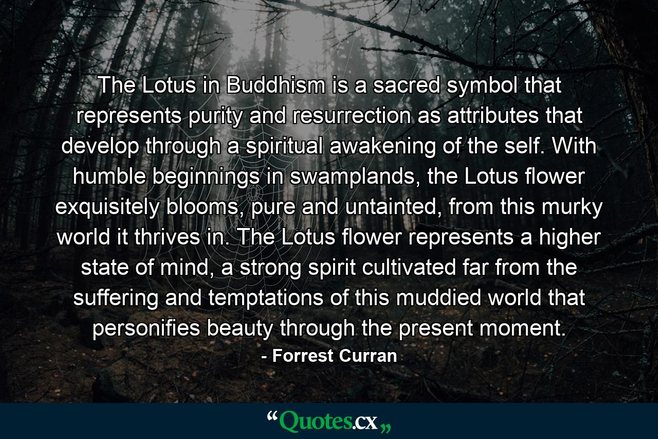 The Lotus in Buddhism is a sacred symbol that represents purity and resurrection as attributes that develop through a spiritual awakening of the self. With humble beginnings in swamplands, the Lotus flower exquisitely blooms, pure and untainted, from this murky world it thrives in. The Lotus flower represents a higher state of mind, a strong spirit cultivated far from the suffering and temptations of this muddied world that personifies beauty through the present moment. - Quote by Forrest Curran