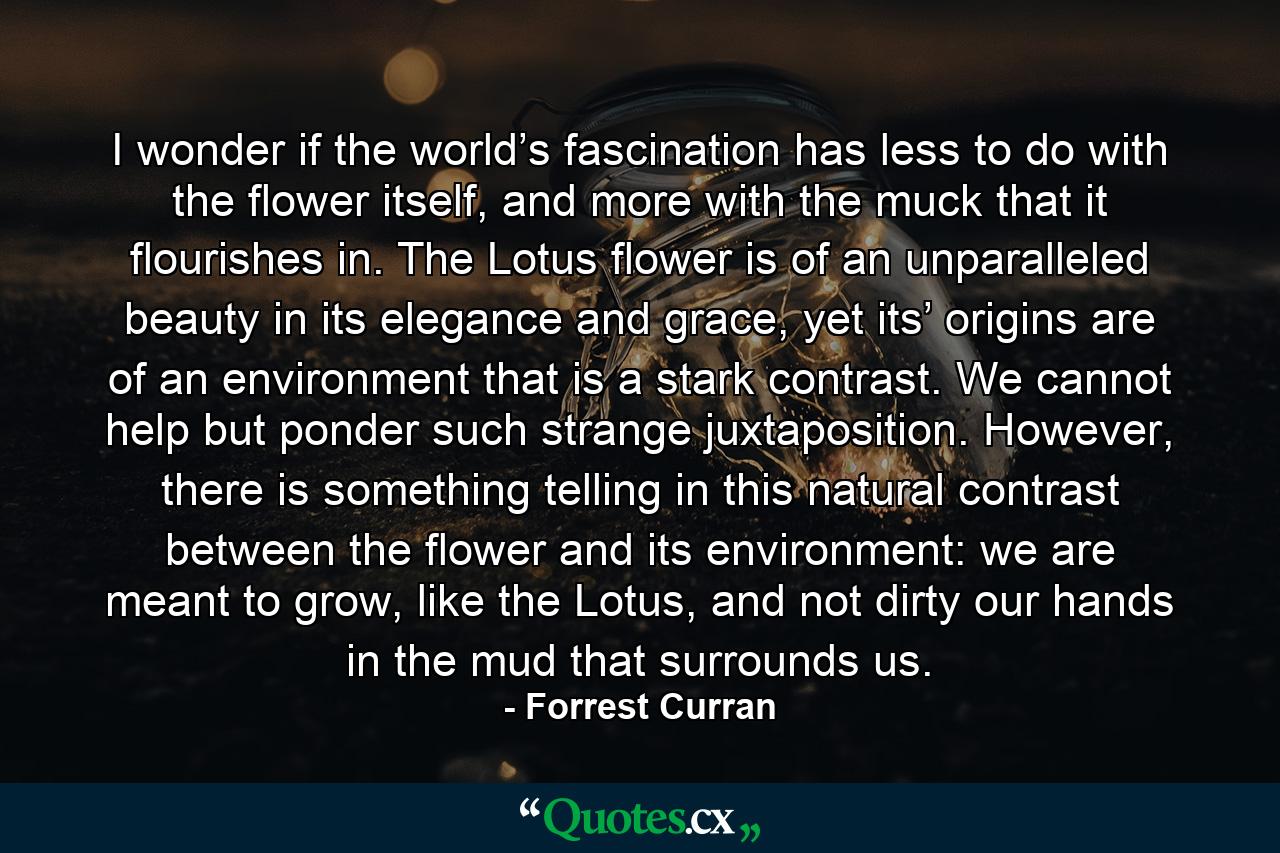 I wonder if the world’s fascination has less to do with the flower itself, and more with the muck that it flourishes in. The Lotus flower is of an unparalleled beauty in its elegance and grace, yet its’ origins are of an environment that is a stark contrast. We cannot help but ponder such strange juxtaposition. However, there is something telling in this natural contrast between the flower and its environment: we are meant to grow, like the Lotus, and not dirty our hands in the mud that surrounds us. - Quote by Forrest Curran