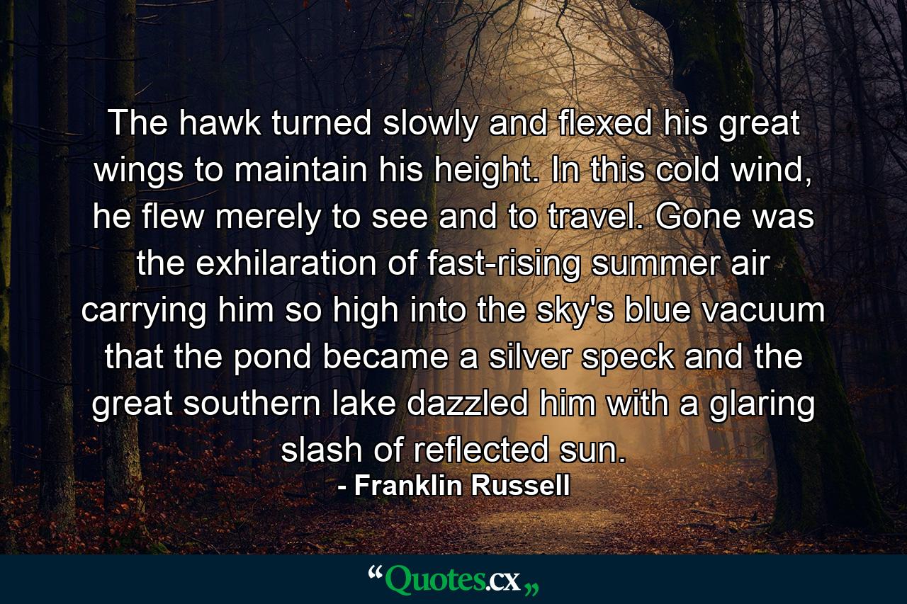 The hawk turned slowly and flexed his great wings to maintain his height. In this cold wind, he flew merely to see and to travel. Gone was the exhilaration of fast-rising summer air carrying him so high into the sky's blue vacuum that the pond became a silver speck and the great southern lake dazzled him with a glaring slash of reflected sun. - Quote by Franklin Russell