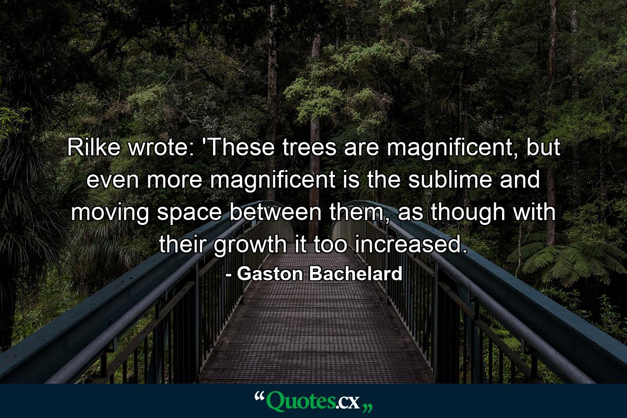 Rilke wrote: 'These trees are magnificent, but even more magnificent is the sublime and moving space between them, as though with their growth it too increased. - Quote by Gaston Bachelard