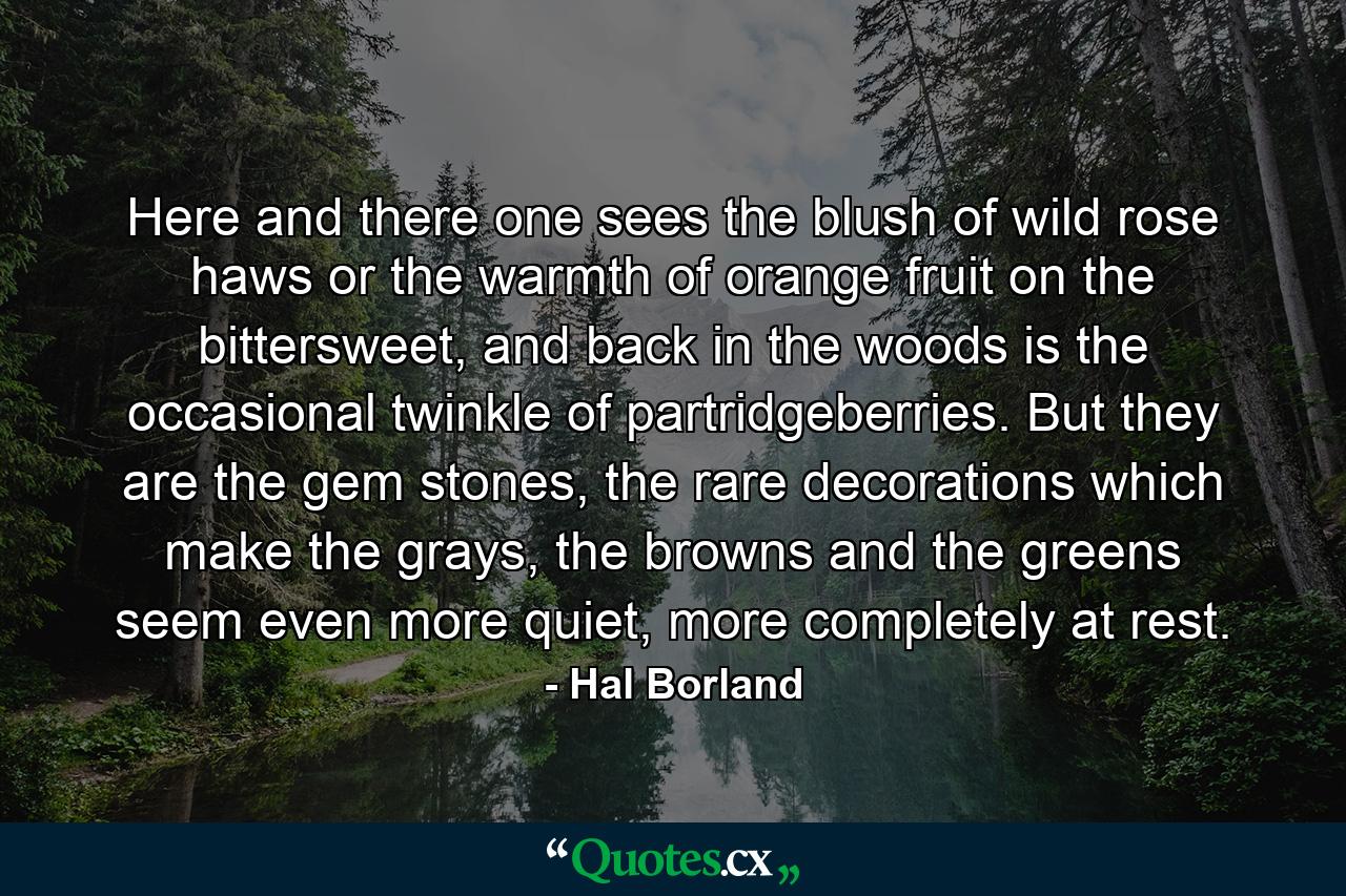 Here and there one sees the blush of wild rose haws or the warmth of orange fruit on the bittersweet, and back in the woods is the occasional twinkle of partridgeberries. But they are the gem stones, the rare decorations which make the grays, the browns and the greens seem even more quiet, more completely at rest. - Quote by Hal Borland