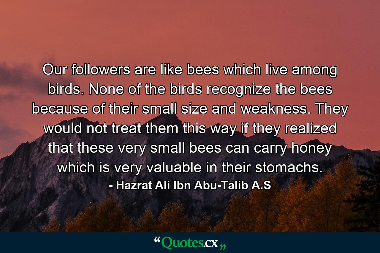 Our followers are like bees which live among birds. None of the birds recognize the bees because of their small size and weakness. They would not treat them this way if they realized that these very small bees can carry honey which is very valuable in their stomachs. - Quote by Hazrat Ali Ibn Abu-Talib A.S