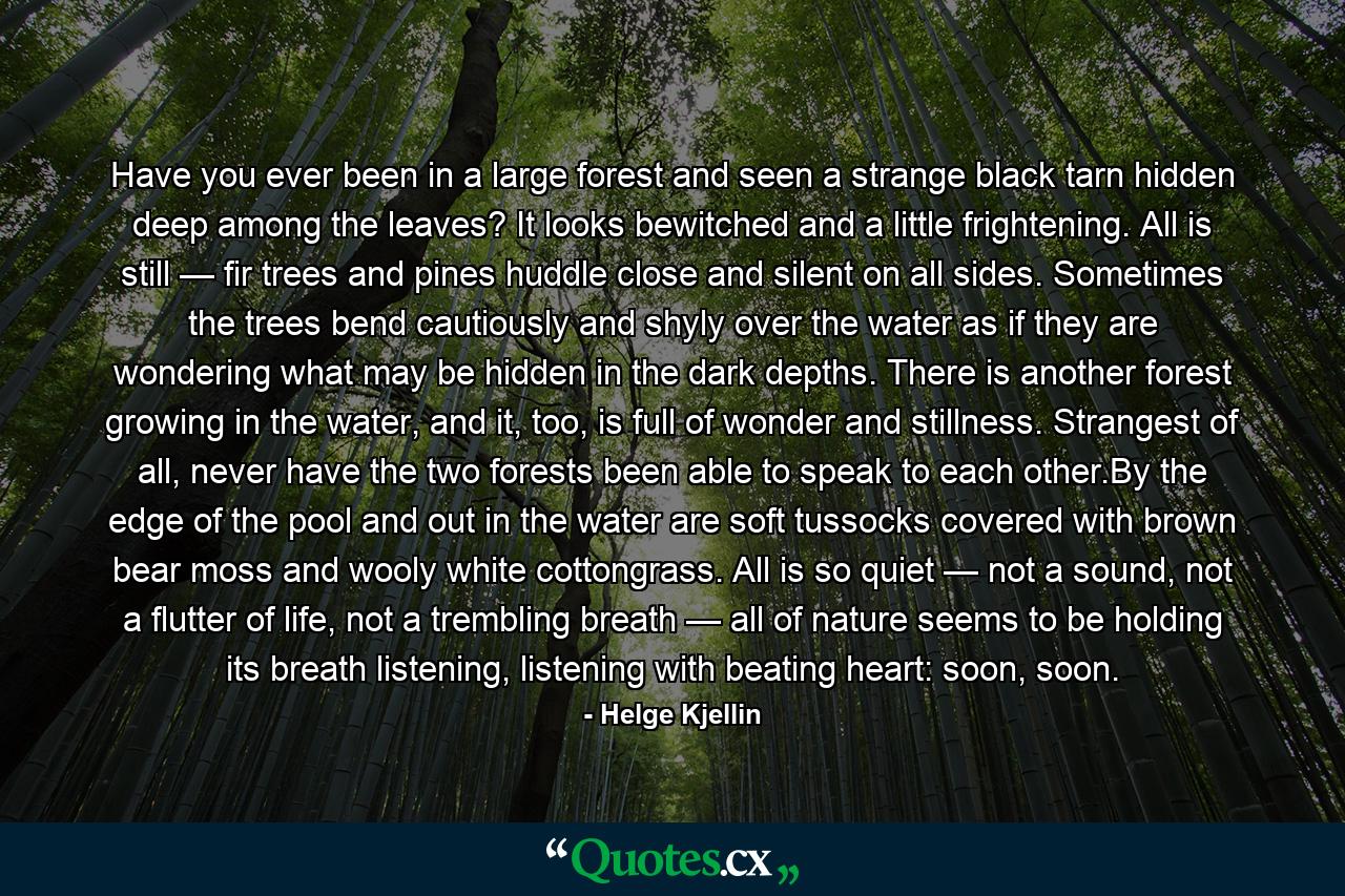 Have you ever been in a large forest and seen a strange black tarn hidden deep among the leaves? It looks bewitched and a little frightening. All is still — fir trees and pines huddle close and silent on all sides. Sometimes the trees bend cautiously and shyly over the water as if they are wondering what may be hidden in the dark depths. There is another forest growing in the water, and it, too, is full of wonder and stillness. Strangest of all, never have the two forests been able to speak to each other.By the edge of the pool and out in the water are soft tussocks covered with brown bear moss and wooly white cottongrass. All is so quiet — not a sound, not a flutter of life, not a trembling breath — all of nature seems to be holding its breath listening, listening with beating heart: soon, soon. - Quote by Helge Kjellin