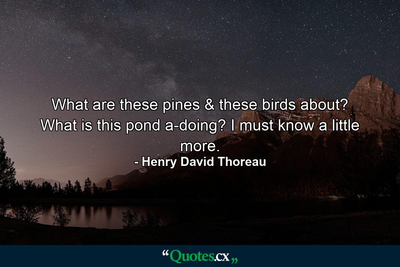 What are these pines & these birds about? What is this pond a-doing? I must know a little more. - Quote by Henry David Thoreau