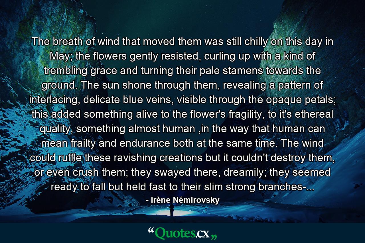 The breath of wind that moved them was still chilly on this day in May; the flowers gently resisted, curling up with a kind of trembling grace and turning their pale stamens towards the ground. The sun shone through them, revealing a pattern of interlacing, delicate blue veins, visible through the opaque petals; this added something alive to the flower's fragility, to it's ethereal quality, something almost human ,in the way that human can mean frailty and endurance both at the same time. The wind could ruffle these ravishing creations but it couldn't destroy them, or even crush them; they swayed there, dreamily; they seemed ready to fall but held fast to their slim strong branches-... - Quote by Irène Némirovsky