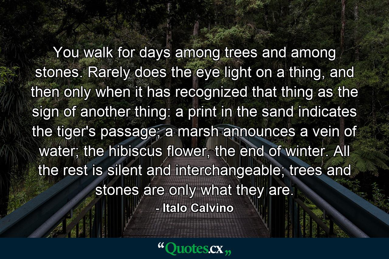 You walk for days among trees and among stones. Rarely does the eye light on a thing, and then only when it has recognized that thing as the sign of another thing: a print in the sand indicates the tiger's passage; a marsh announces a vein of water; the hibiscus flower, the end of winter. All the rest is silent and interchangeable; trees and stones are only what they are. - Quote by Italo Calvino