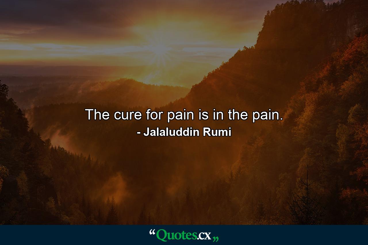 The cure for pain is in the pain. - Quote by Jalaluddin Rumi