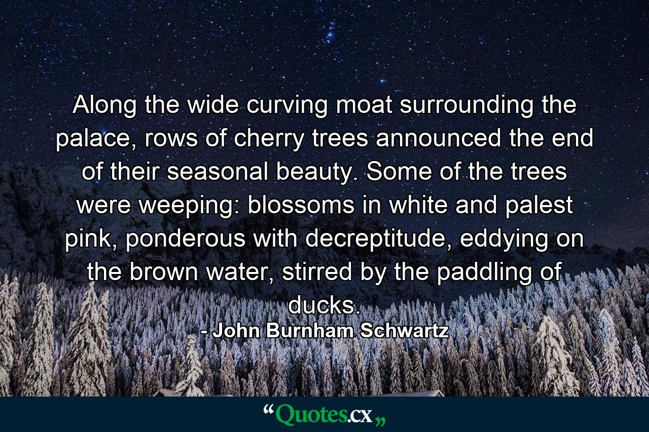 Along the wide curving moat surrounding the palace, rows of cherry trees announced the end of their seasonal beauty. Some of the trees were weeping: blossoms in white and palest pink, ponderous with decreptitude, eddying on the brown water, stirred by the paddling of ducks. - Quote by John Burnham Schwartz