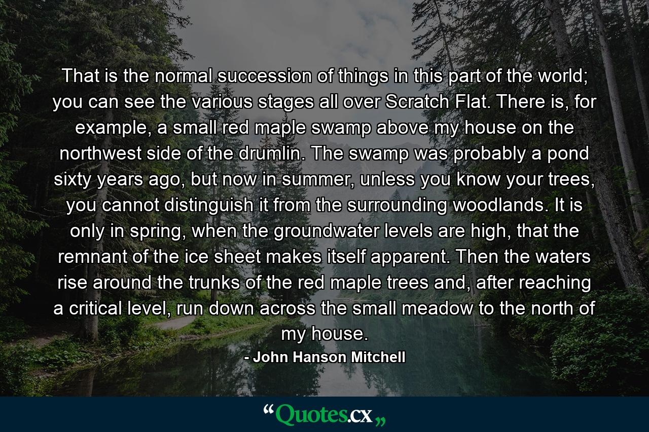 That is the normal succession of things in this part of the world; you can see the various stages all over Scratch Flat. There is, for example, a small red maple swamp above my house on the northwest side of the drumlin. The swamp was probably a pond sixty years ago, but now in summer, unless you know your trees, you cannot distinguish it from the surrounding woodlands. It is only in spring, when the groundwater levels are high, that the remnant of the ice sheet makes itself apparent. Then the waters rise around the trunks of the red maple trees and, after reaching a critical level, run down across the small meadow to the north of my house. - Quote by John Hanson Mitchell