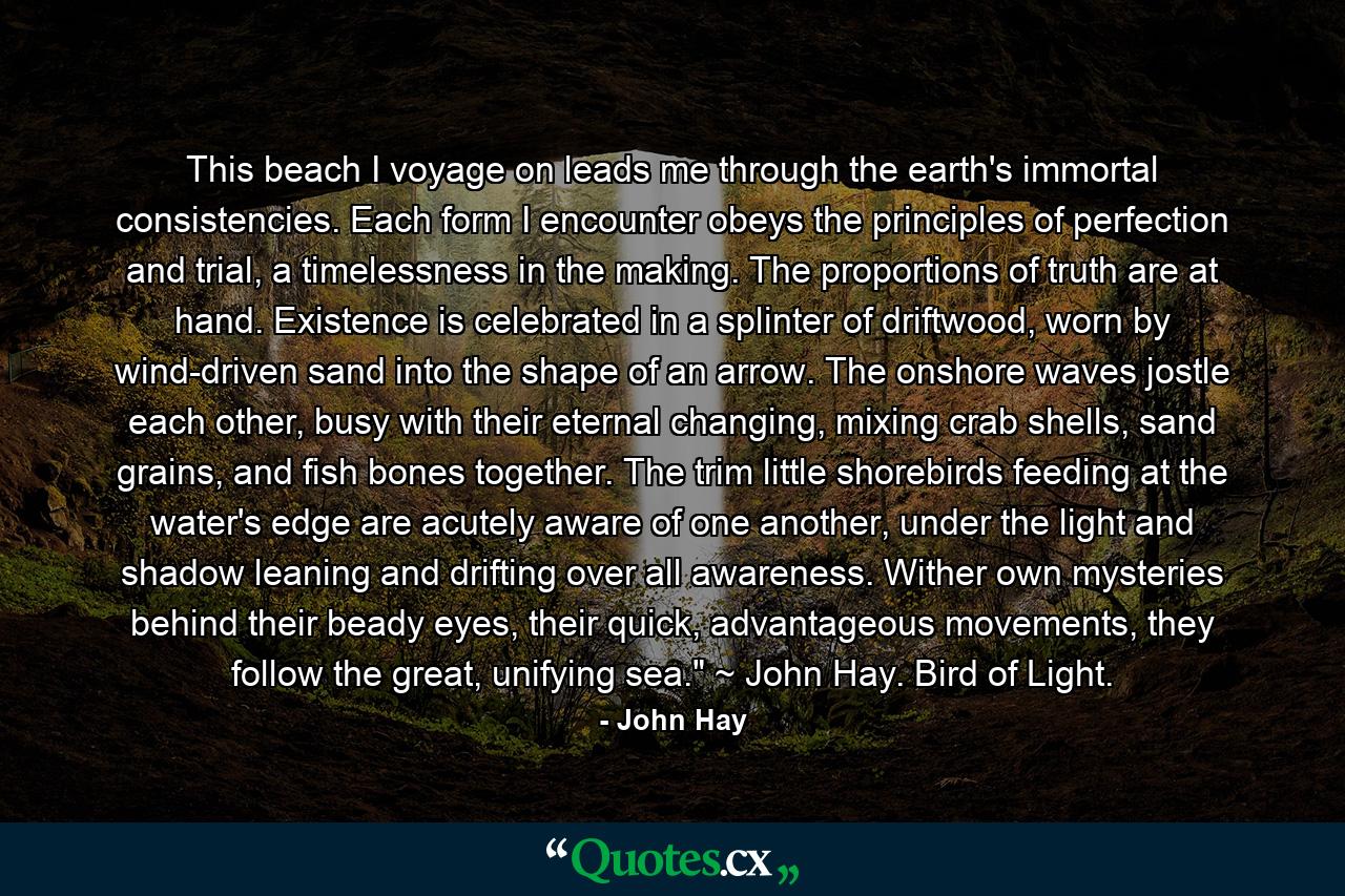 This beach I voyage on leads me through the earth's immortal consistencies. Each form I encounter obeys the principles of perfection and trial, a timelessness in the making. The proportions of truth are at hand. Existence is celebrated in a splinter of driftwood, worn by wind-driven sand into the shape of an arrow. The onshore waves jostle each other, busy with their eternal changing, mixing crab shells, sand grains, and fish bones together. The trim little shorebirds feeding at the water's edge are acutely aware of one another, under the light and shadow leaning and drifting over all awareness. Wither own mysteries behind their beady eyes, their quick, advantageous movements, they follow the great, unifying sea.