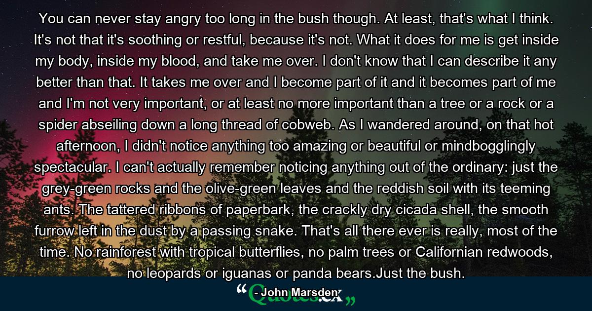 You can never stay angry too long in the bush though. At least, that's what I think. It's not that it's soothing or restful, because it's not. What it does for me is get inside my body, inside my blood, and take me over. I don't know that I can describe it any better than that. It takes me over and I become part of it and it becomes part of me and I'm not very important, or at least no more important than a tree or a rock or a spider abseiling down a long thread of cobweb. As I wandered around, on that hot afternoon, I didn't notice anything too amazing or beautiful or mindbogglingly spectacular. I can't actually remember noticing anything out of the ordinary: just the grey-green rocks and the olive-green leaves and the reddish soil with its teeming ants. The tattered ribbons of paperbark, the crackly dry cicada shell, the smooth furrow left in the dust by a passing snake. That's all there ever is really, most of the time. No rainforest with tropical butterflies, no palm trees or Californian redwoods, no leopards or iguanas or panda bears.Just the bush. - Quote by John Marsden