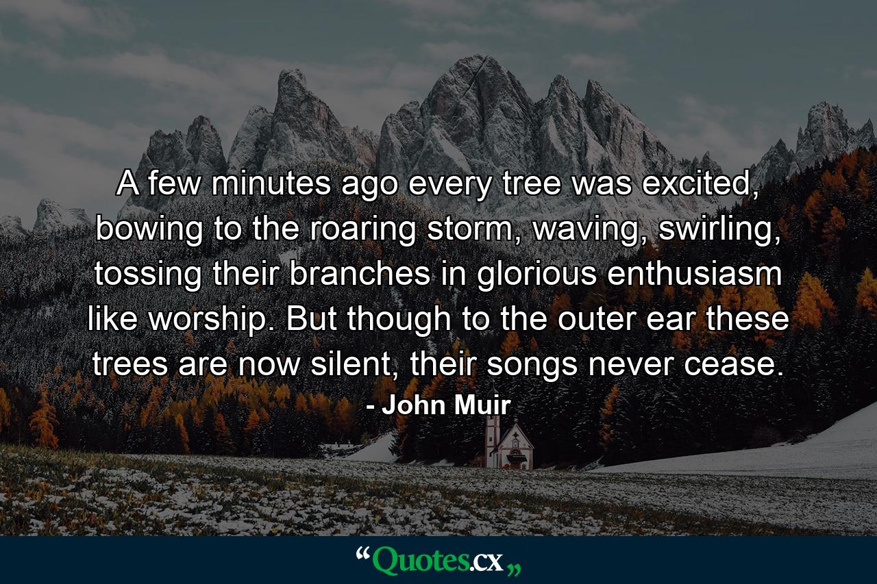 A few minutes ago every tree was excited, bowing to the roaring storm, waving, swirling, tossing their branches in glorious enthusiasm like worship. But though to the outer ear these trees are now silent, their songs never cease. - Quote by John Muir