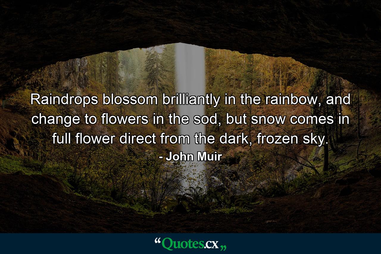 Raindrops blossom brilliantly in the rainbow, and change to flowers in the sod, but snow comes in full flower direct from the dark, frozen sky. - Quote by John Muir