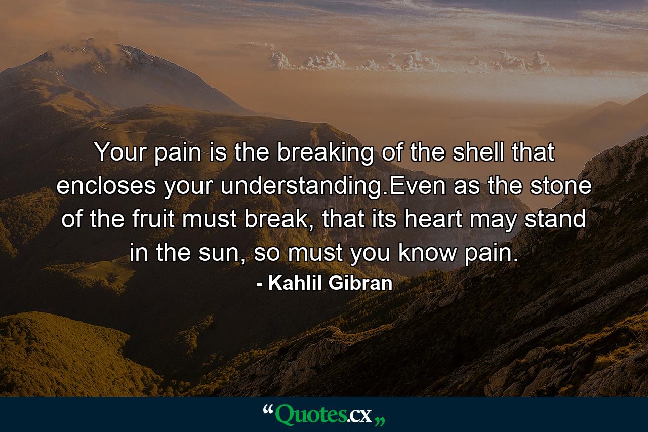 Your pain is the breaking of the shell that encloses your understanding.Even as the stone of the fruit must break, that its heart may stand in the sun, so must you know pain. - Quote by Kahlil Gibran