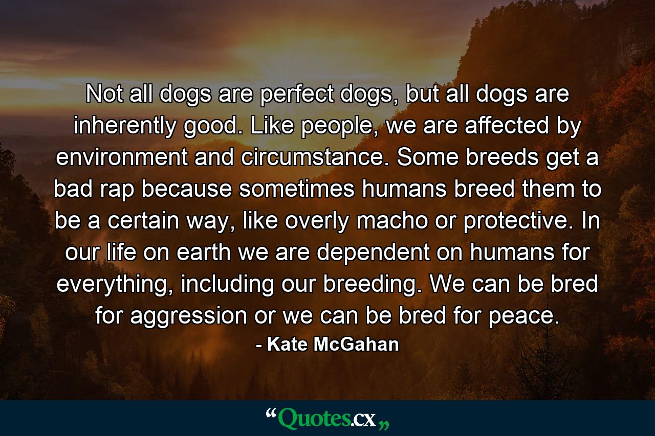 Not all dogs are perfect dogs, but all dogs are inherently good. Like people, we are affected by environment and circumstance. Some breeds get a bad rap because sometimes humans breed them to be a certain way, like overly macho or protective. In our life on earth we are dependent on humans for everything, including our breeding. We can be bred for aggression or we can be bred for peace. - Quote by Kate McGahan