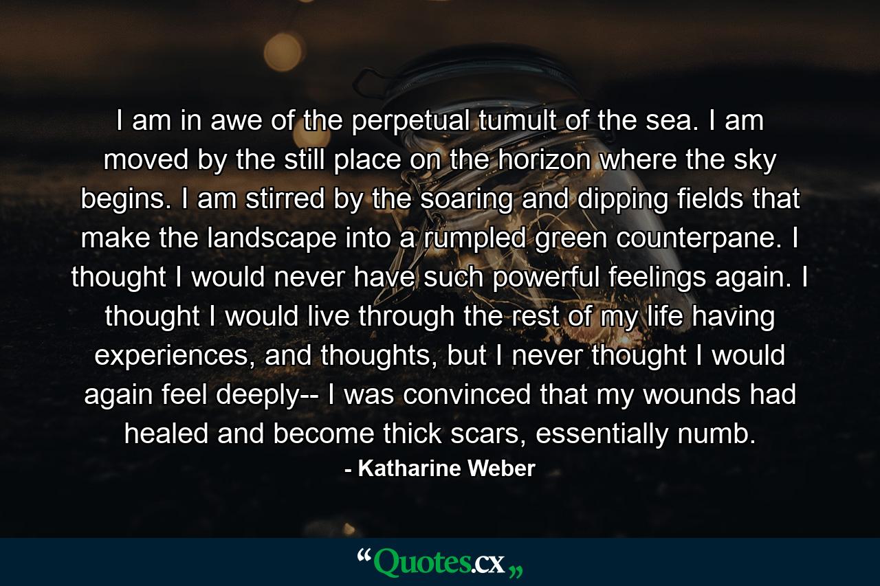 I am in awe of the perpetual tumult of the sea. I am moved by the still place on the horizon where the sky begins. I am stirred by the soaring and dipping fields that make the landscape into a rumpled green counterpane. I thought I would never have such powerful feelings again. I thought I would live through the rest of my life having experiences, and thoughts, but I never thought I would again feel deeply-- I was convinced that my wounds had healed and become thick scars, essentially numb. - Quote by Katharine Weber