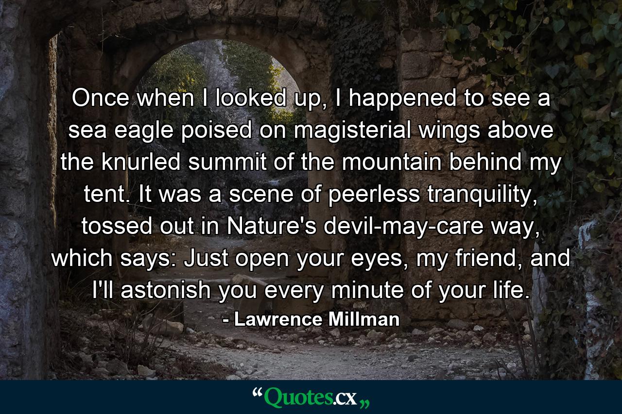 Once when I looked up, I happened to see a sea eagle poised on magisterial wings above the knurled summit of the mountain behind my tent. It was a scene of peerless tranquility, tossed out in Nature's devil-may-care way, which says: Just open your eyes, my friend, and I'll astonish you every minute of your life. - Quote by Lawrence Millman