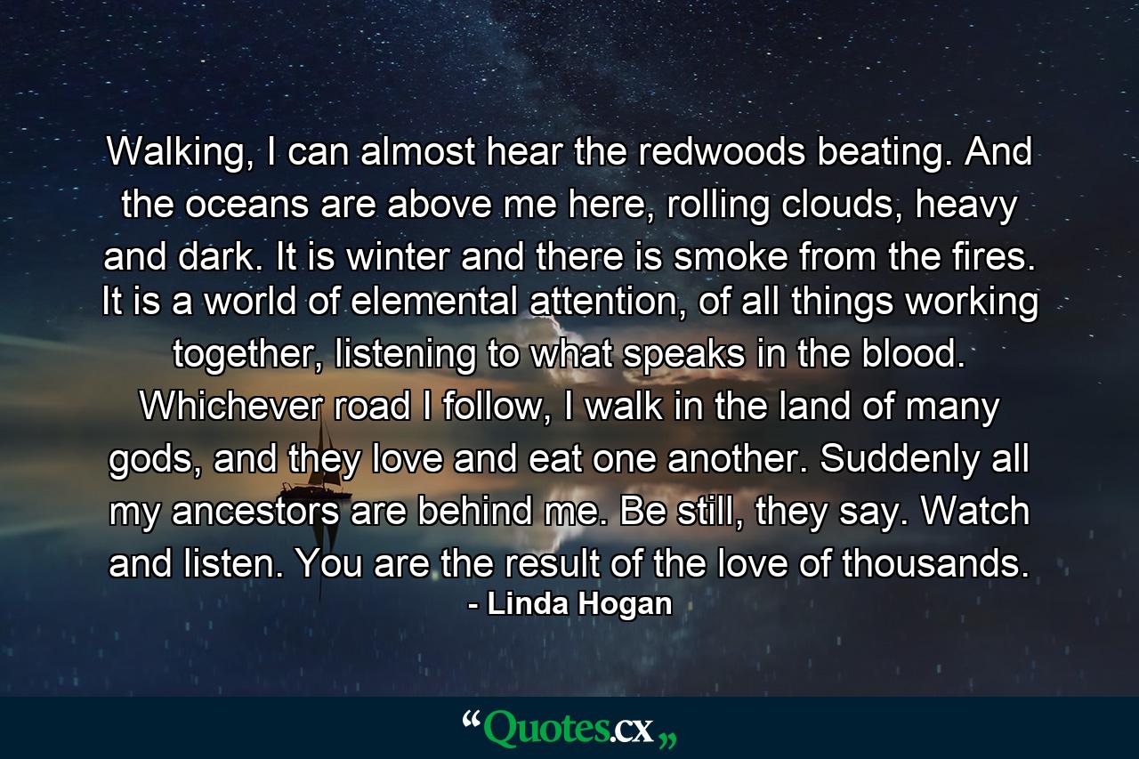 Walking, I can almost hear the redwoods beating. And the oceans are above me here, rolling clouds, heavy and dark. It is winter and there is smoke from the fires. It is a world of elemental attention, of all things working together, listening to what speaks in the blood. Whichever road I follow, I walk in the land of many gods, and they love and eat one another. Suddenly all my ancestors are behind me. Be still, they say. Watch and listen. You are the result of the love of thousands. - Quote by Linda Hogan