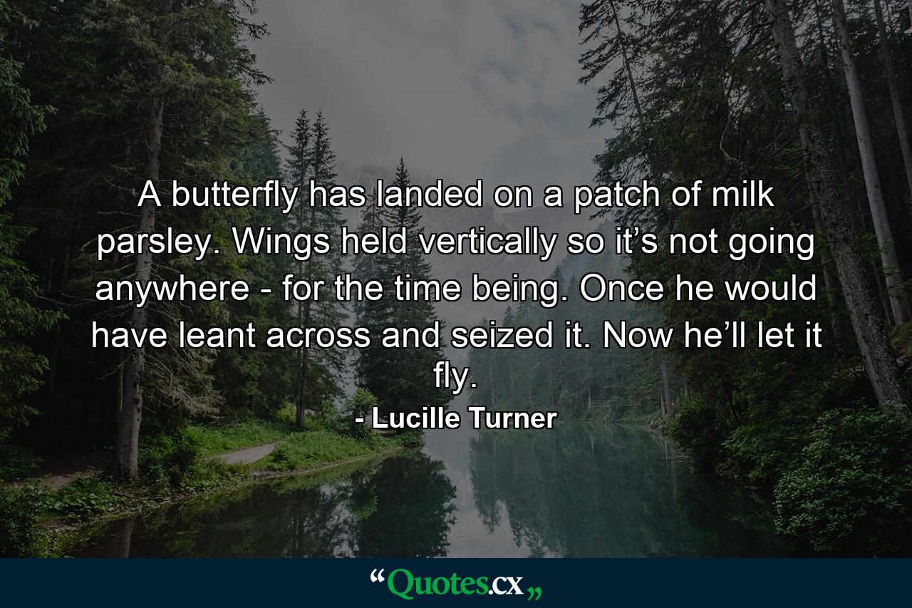 A butterfly has landed on a patch of milk parsley. Wings held vertically so it’s not going anywhere - for the time being. Once he would have leant across and seized it. Now he’ll let it fly. - Quote by Lucille Turner