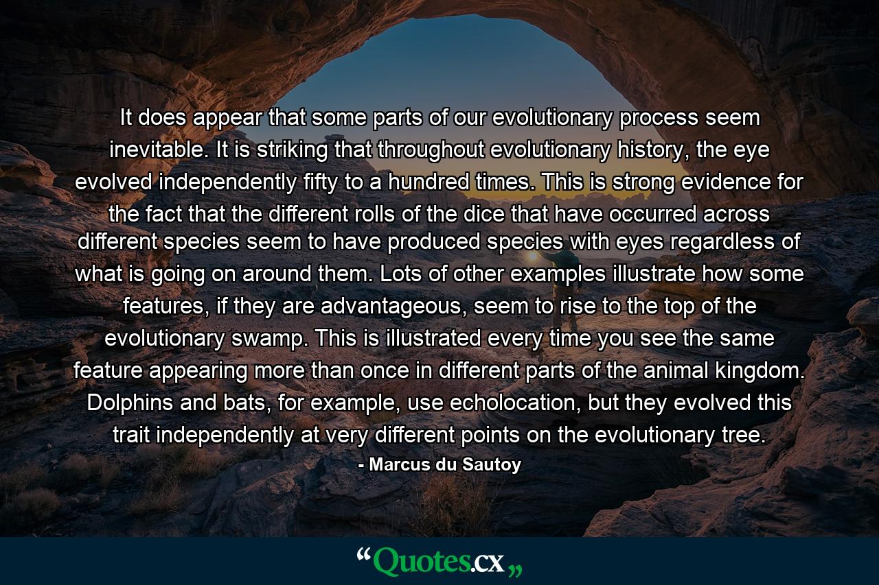 It does appear that some parts of our evolutionary process seem inevitable. It is striking that throughout evolutionary history, the eye evolved independently fifty to a hundred times. This is strong evidence for the fact that the different rolls of the dice that have occurred across different species seem to have produced species with eyes regardless of what is going on around them. Lots of other examples illustrate how some features, if they are advantageous, seem to rise to the top of the evolutionary swamp. This is illustrated every time you see the same feature appearing more than once in different parts of the animal kingdom. Dolphins and bats, for example, use echolocation, but they evolved this trait independently at very different points on the evolutionary tree. - Quote by Marcus du Sautoy