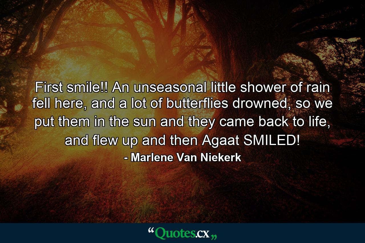 First smile!! An unseasonal little shower of rain fell here, and a lot of butterflies drowned, so we put them in the sun and they came back to life, and flew up and then Agaat SMILED! - Quote by Marlene Van Niekerk